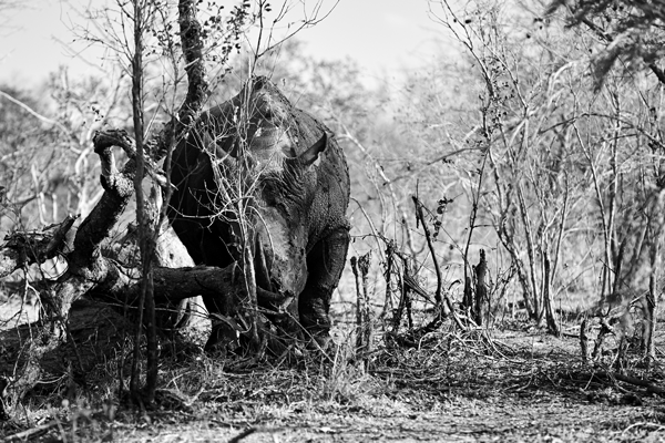 Your Privacy Is Important!